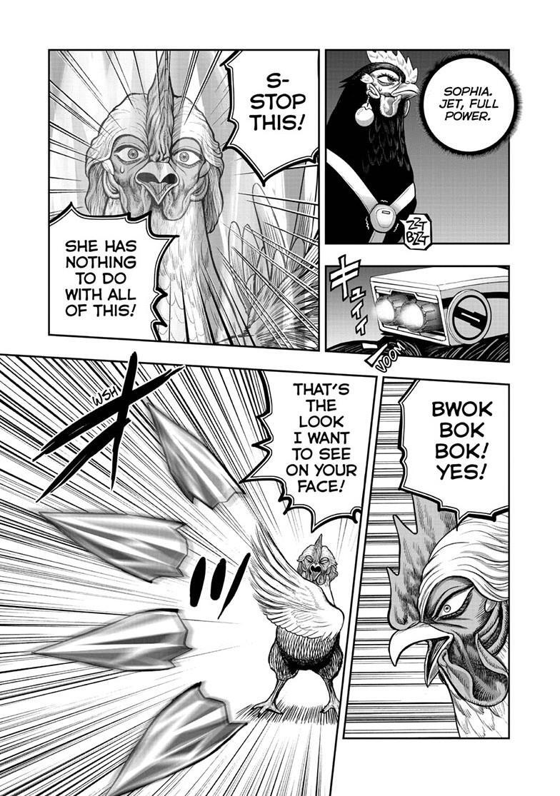 Read Rooster Fighter Manga Online