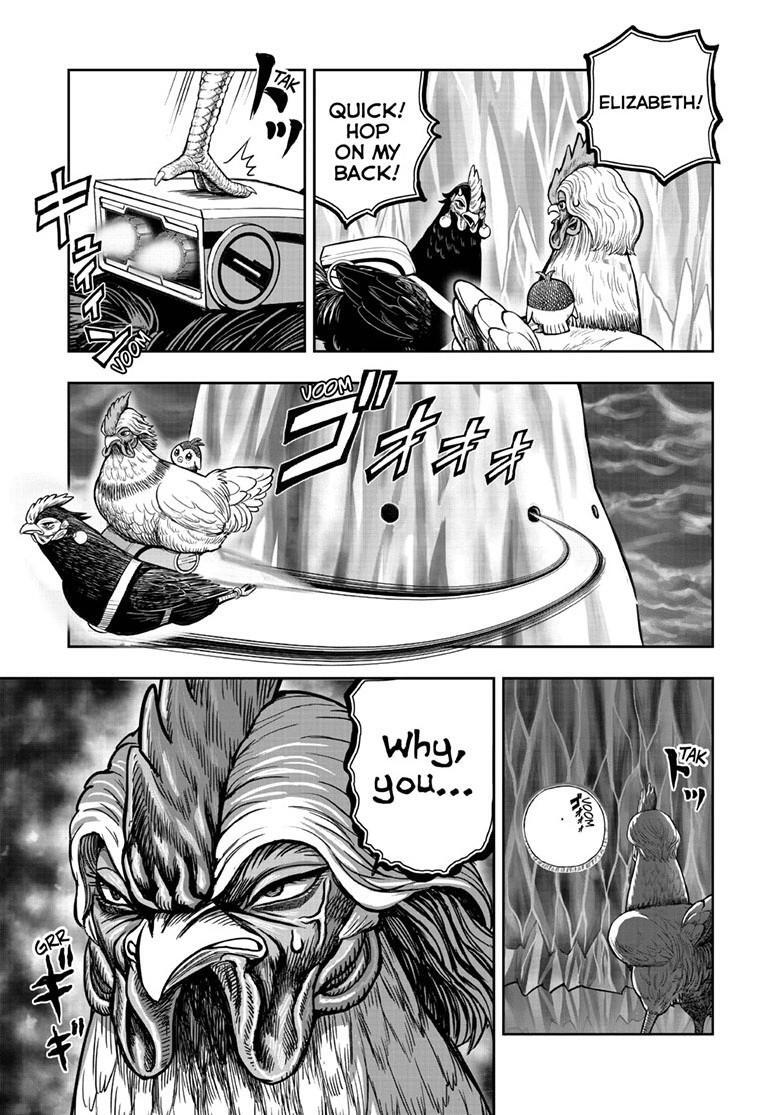 Read Rooster Fighter Manga Online
