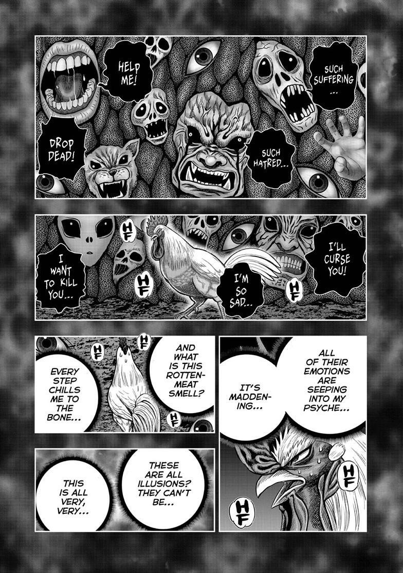 Read Rooster Fighter Manga Online