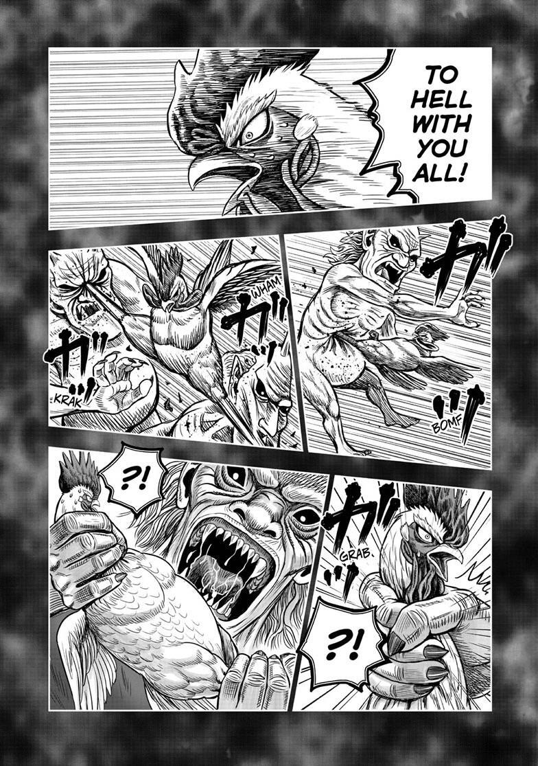 Read Rooster Fighter Manga Online