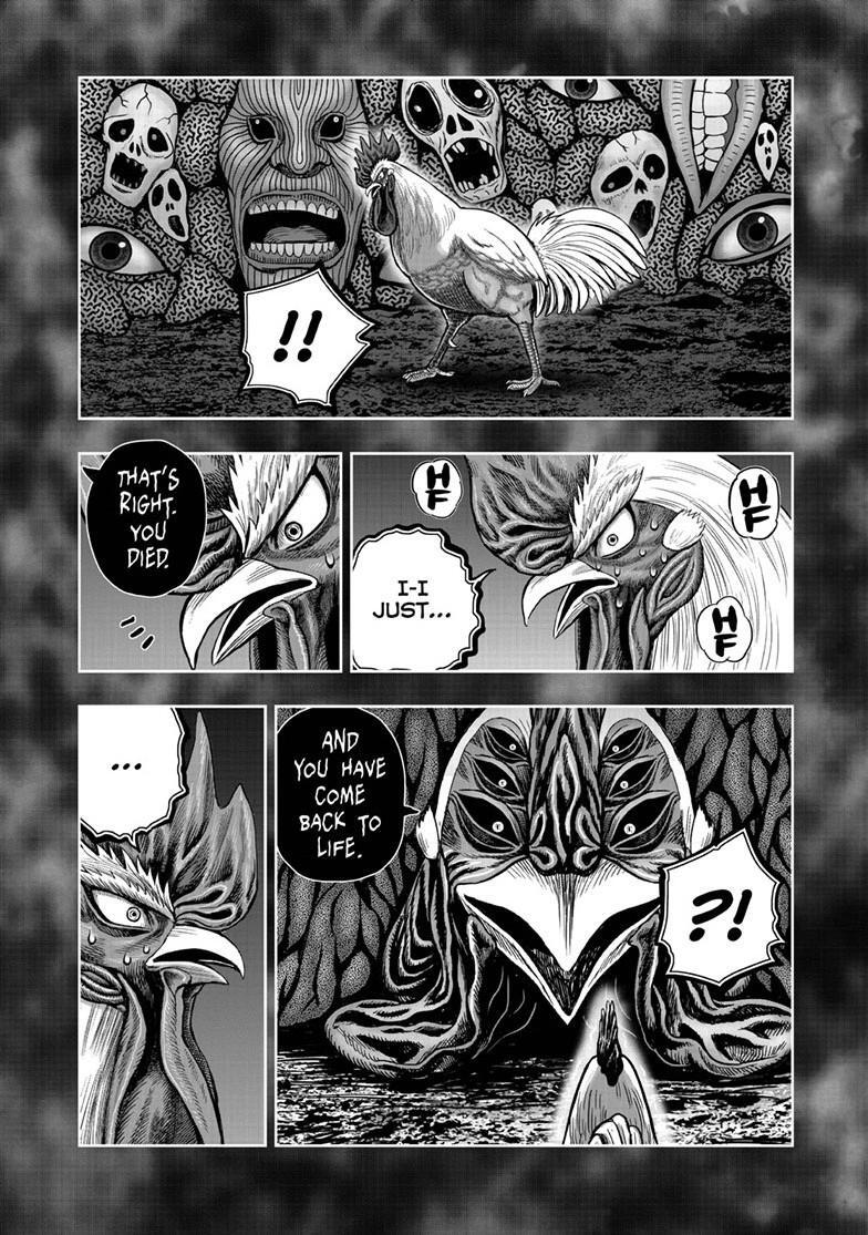 Read Rooster Fighter Manga Online