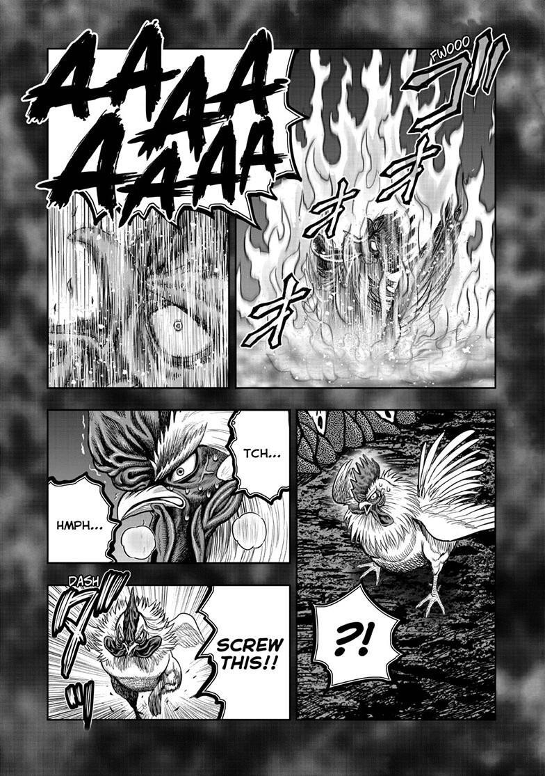 Read Rooster Fighter Manga Online