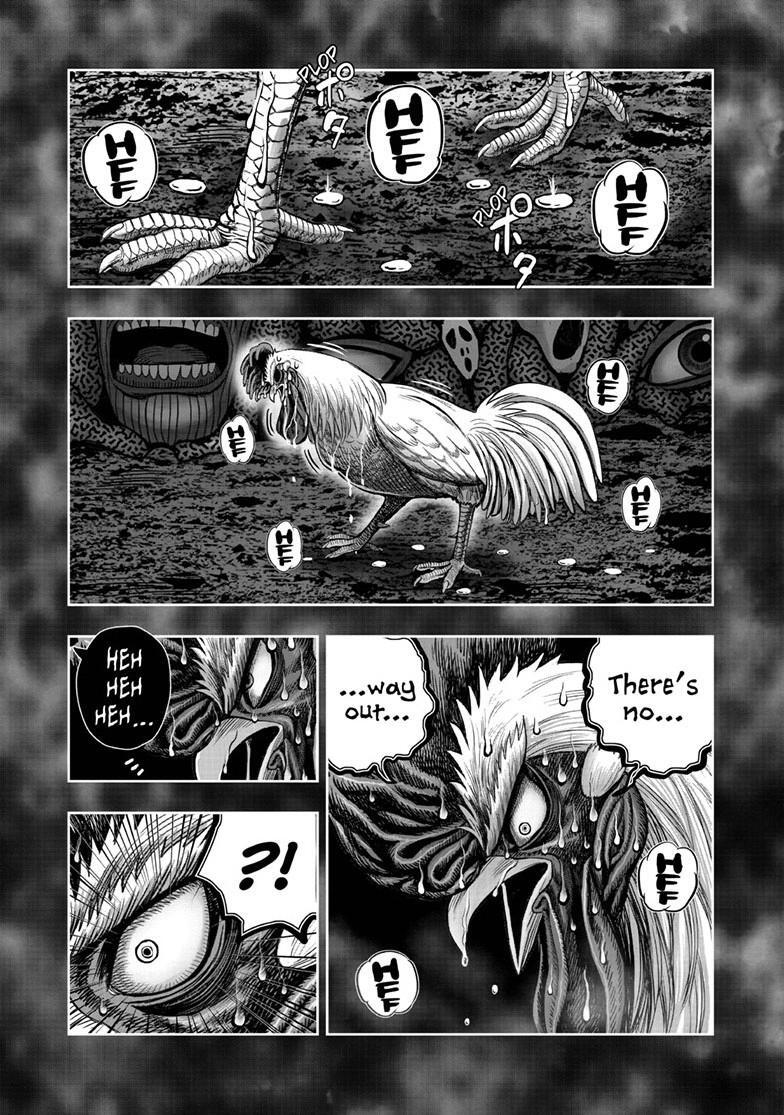 Read Rooster Fighter Manga Online