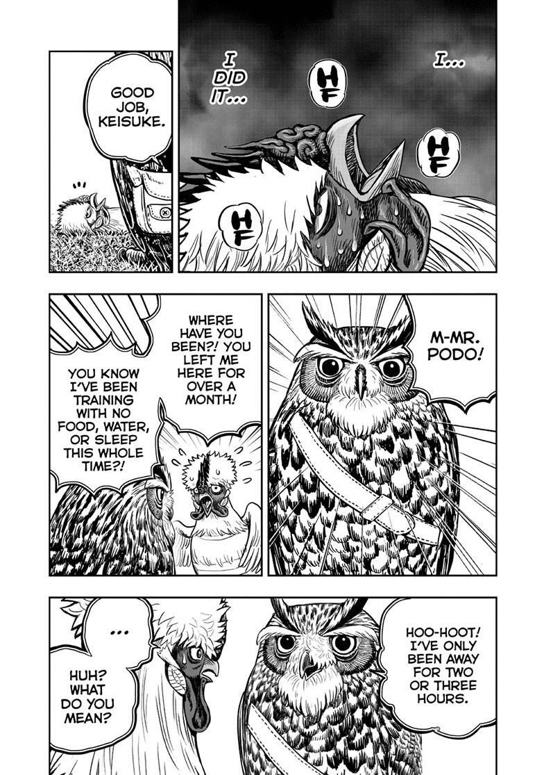 Read Rooster Fighter Manga Online
