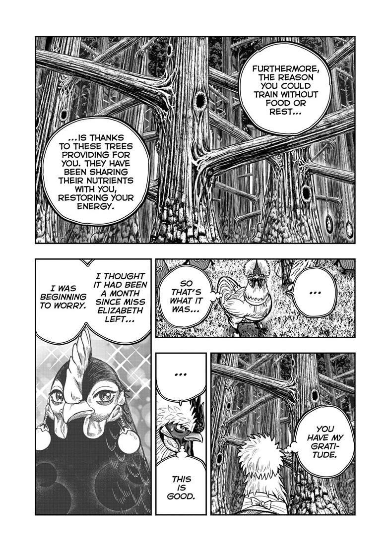 Read Rooster Fighter Manga Online