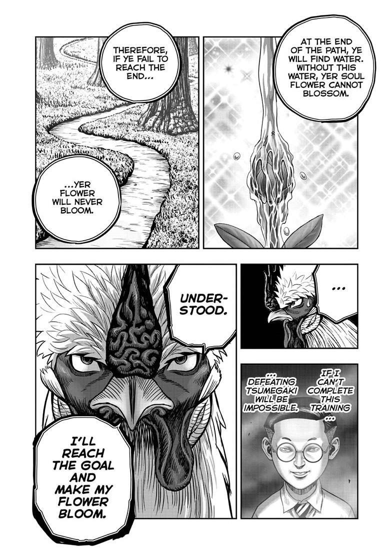 Read Rooster Fighter Manga Online