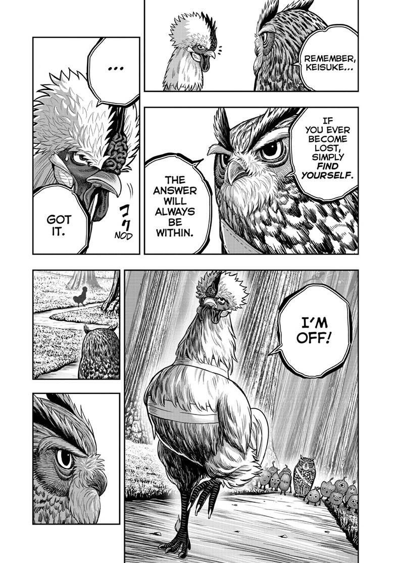Read Rooster Fighter Manga Online