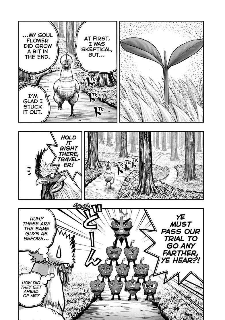 Read Rooster Fighter Manga Online
