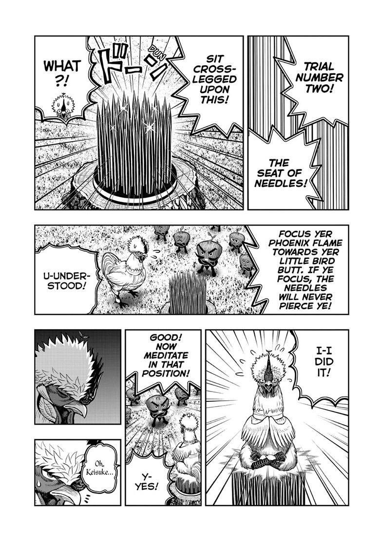 Read Rooster Fighter Manga Online