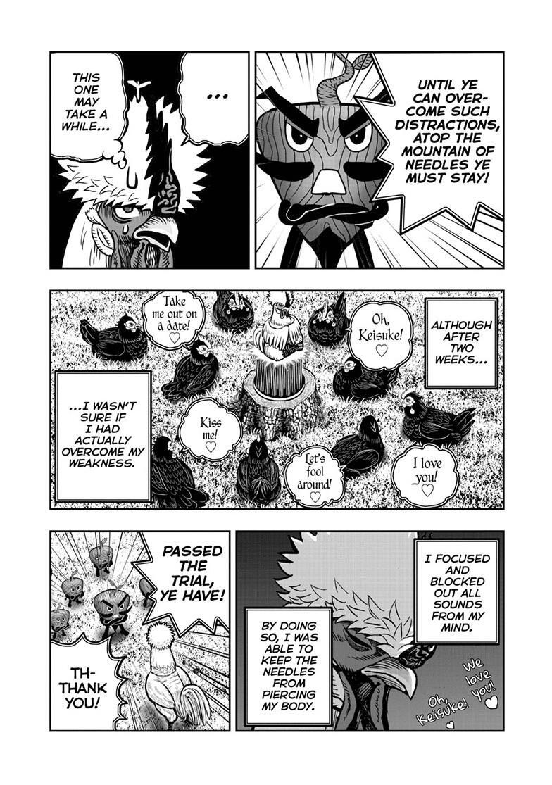 Read Rooster Fighter Manga Online