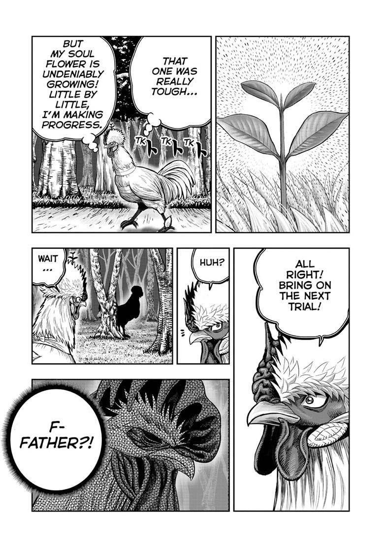 Read Rooster Fighter Manga Online