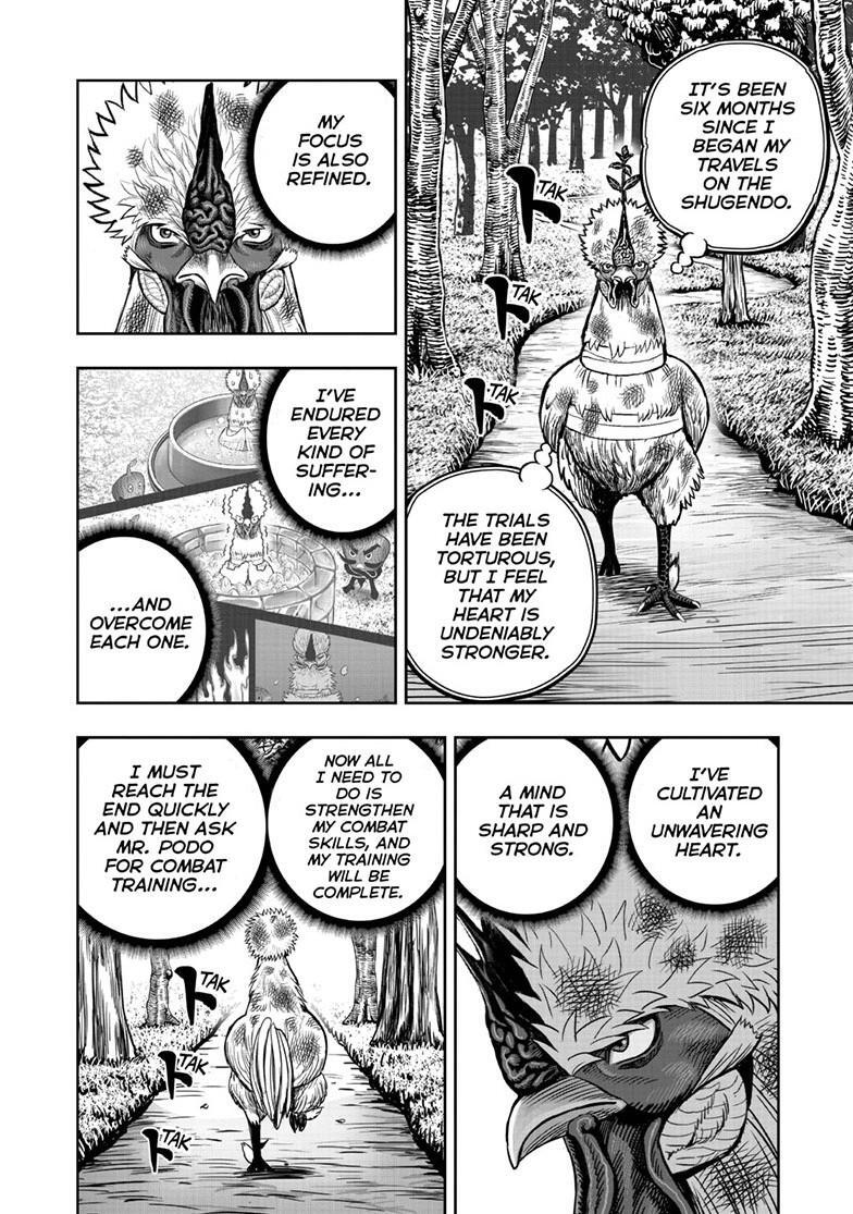 Read Rooster Fighter Manga Online