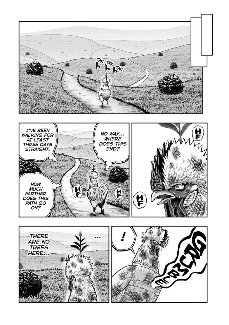 Read Rooster Fighter Manga Online