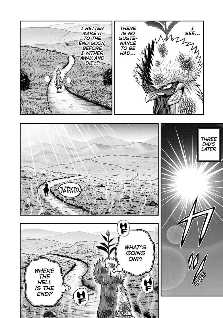 Read Rooster Fighter Manga Online