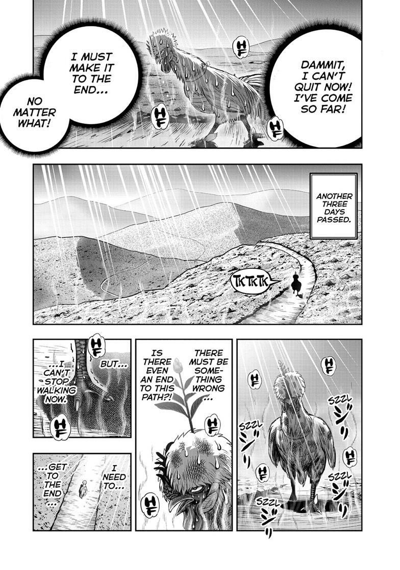 Read Rooster Fighter Manga Online