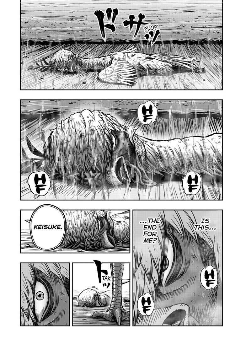 Read Rooster Fighter Manga Online