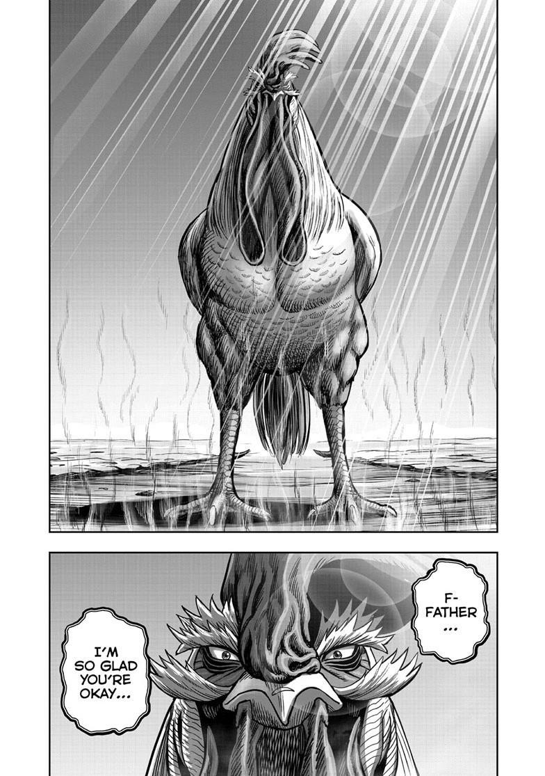 Read Rooster Fighter Manga Online