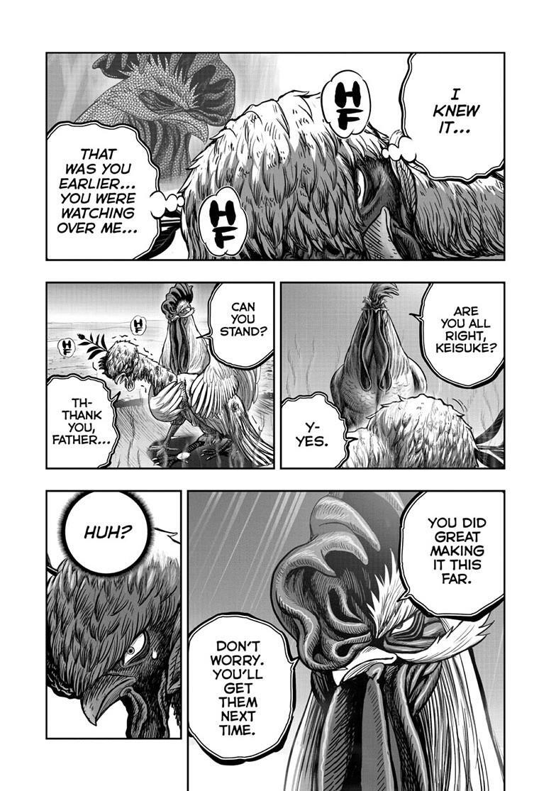 Read Rooster Fighter Manga Online