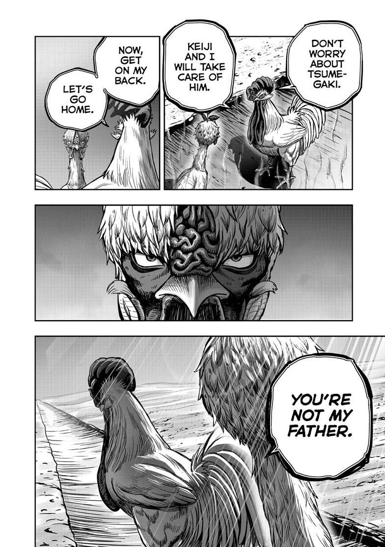 Read Rooster Fighter Manga Online