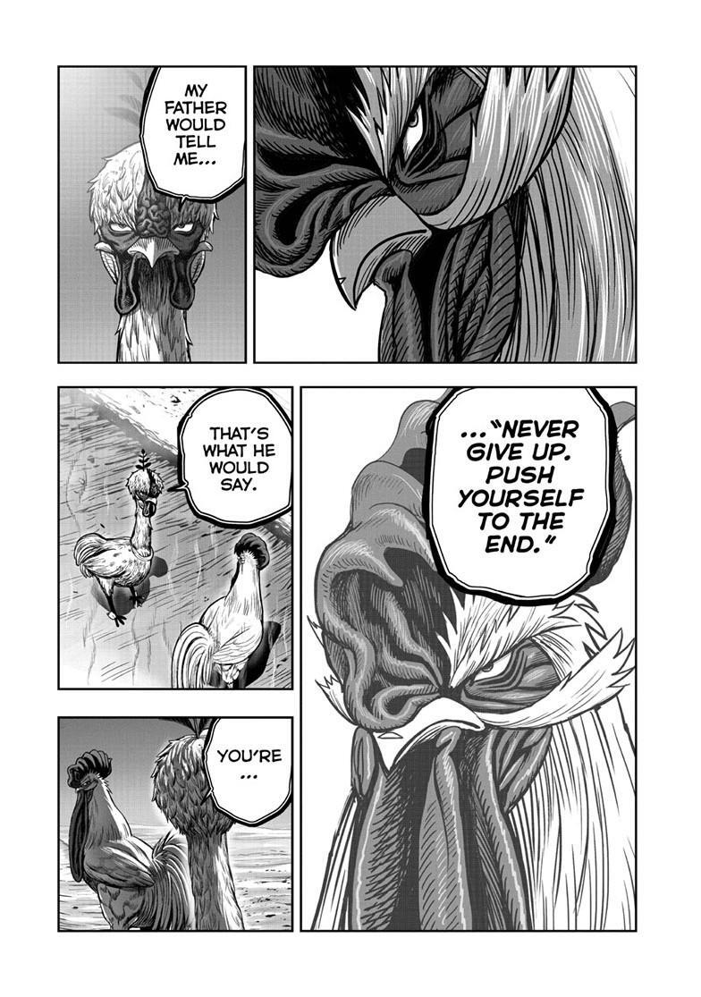 Read Rooster Fighter Manga Online