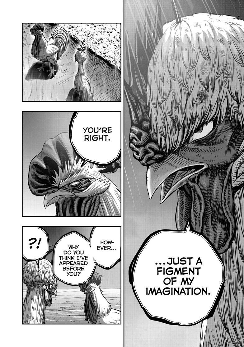 Read Rooster Fighter Manga Online