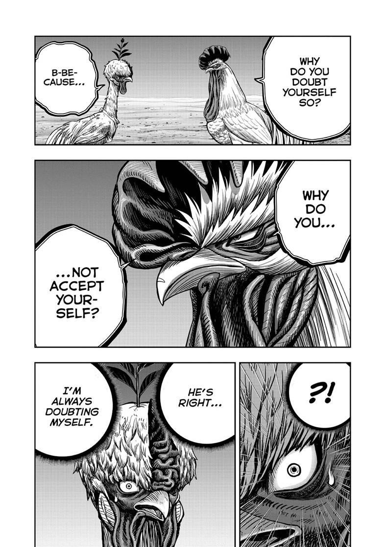 Read Rooster Fighter Manga Online