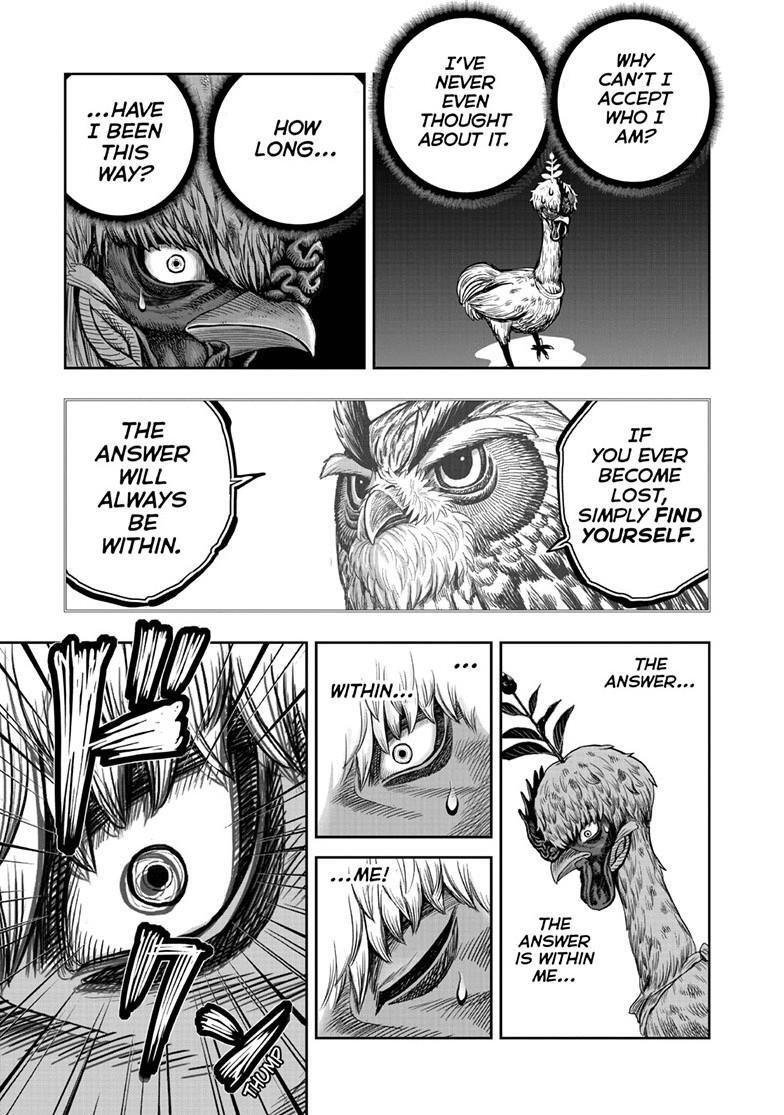 Read Rooster Fighter Manga Online