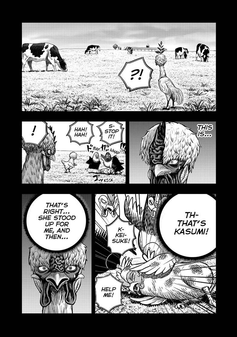 Read Rooster Fighter Manga Online