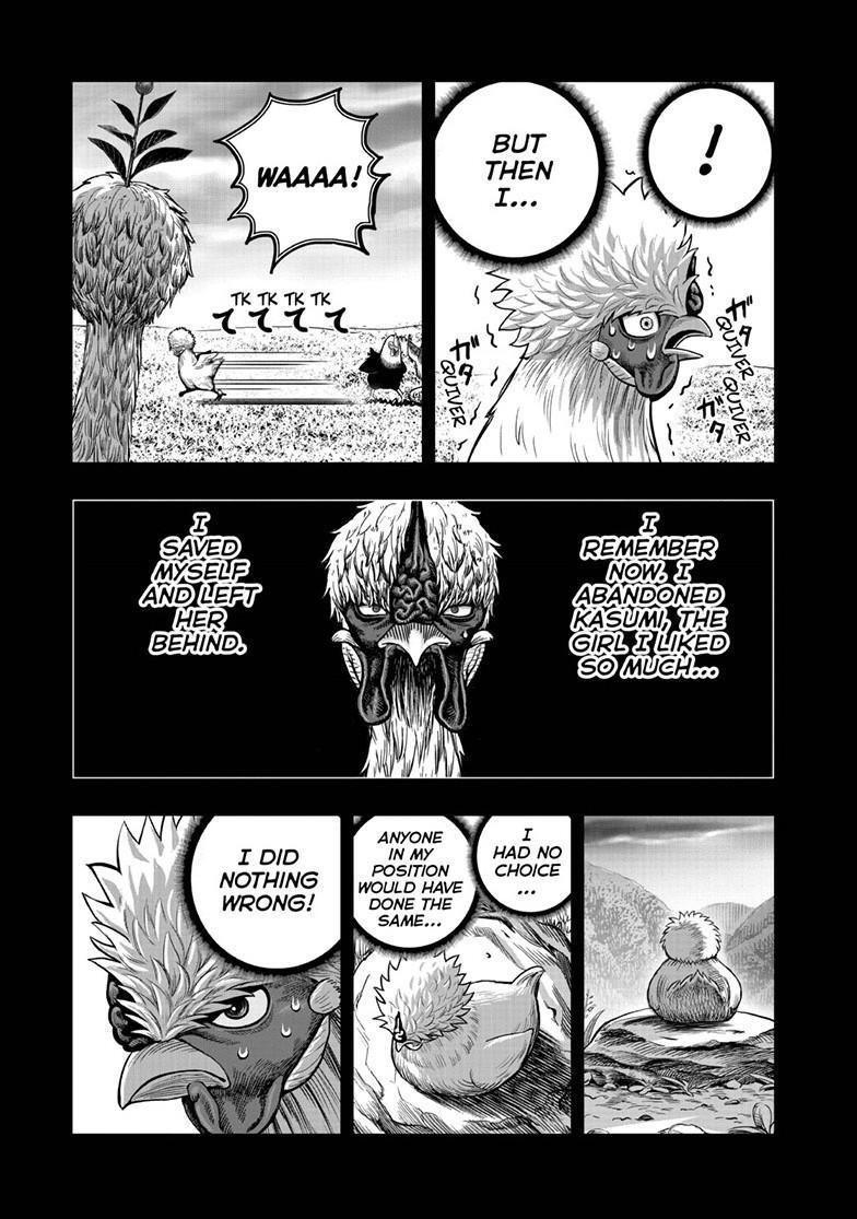 Read Rooster Fighter Manga Online