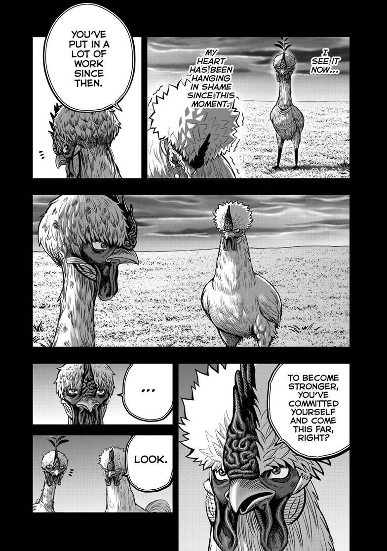 Read Rooster Fighter Manga Online