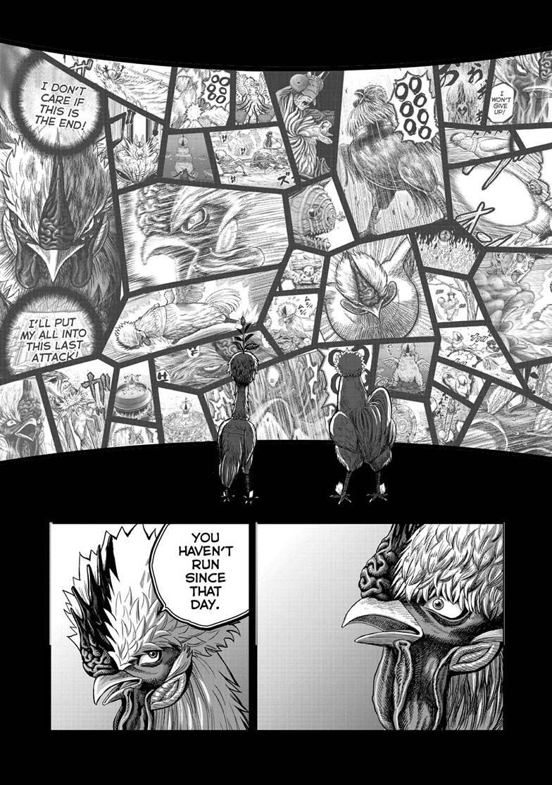 Read Rooster Fighter Manga Online