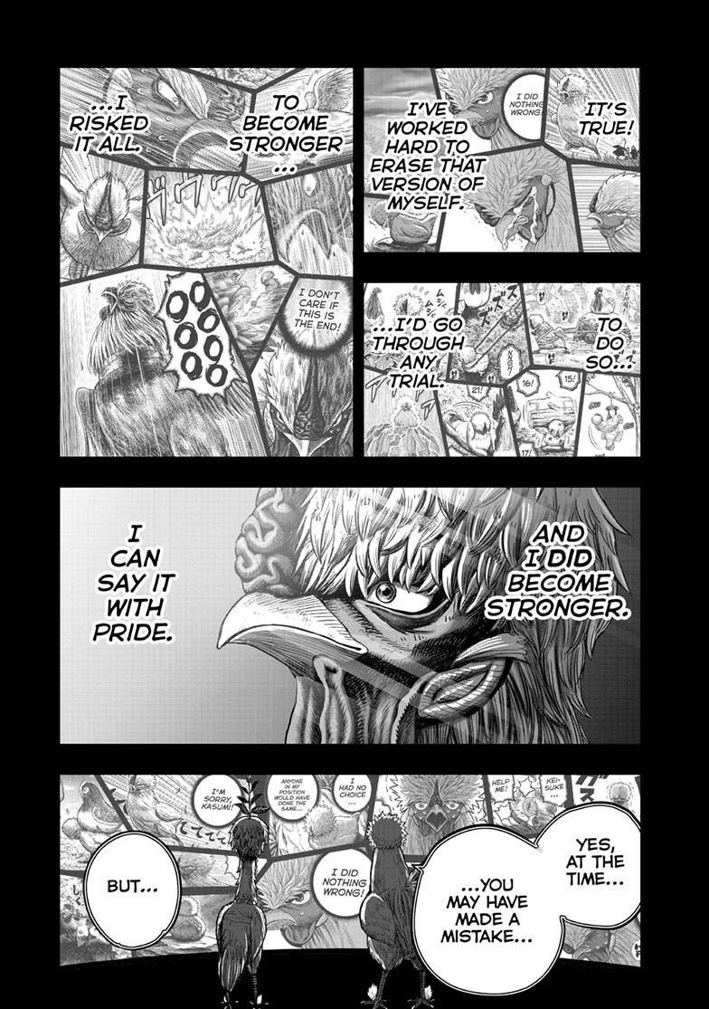 Read Rooster Fighter Manga Online