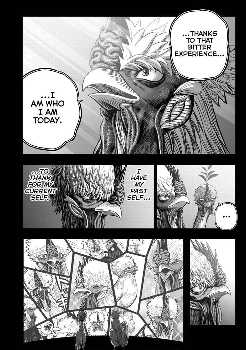 Read Rooster Fighter Manga Online