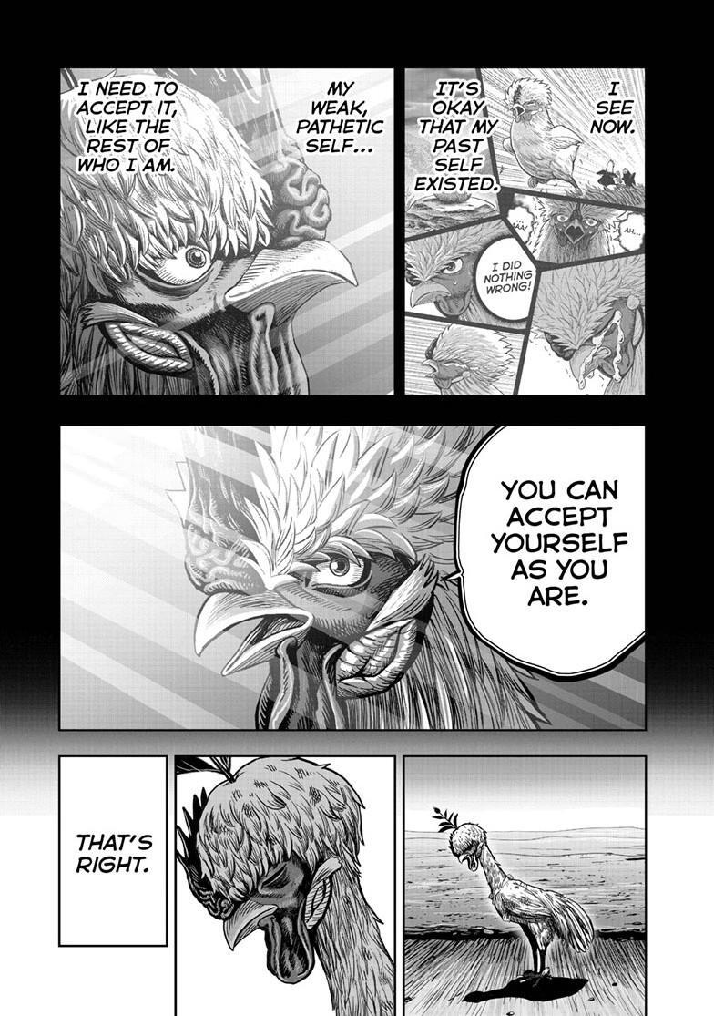 Read Rooster Fighter Manga Online
