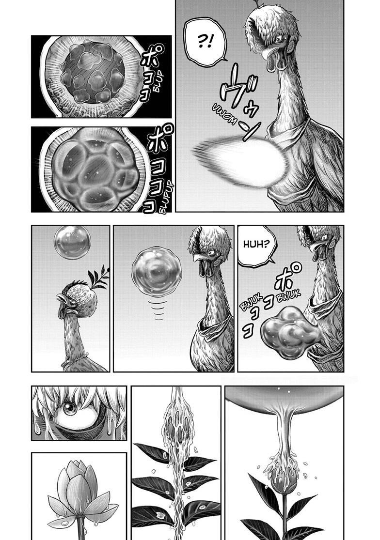 Read Rooster Fighter Manga Online