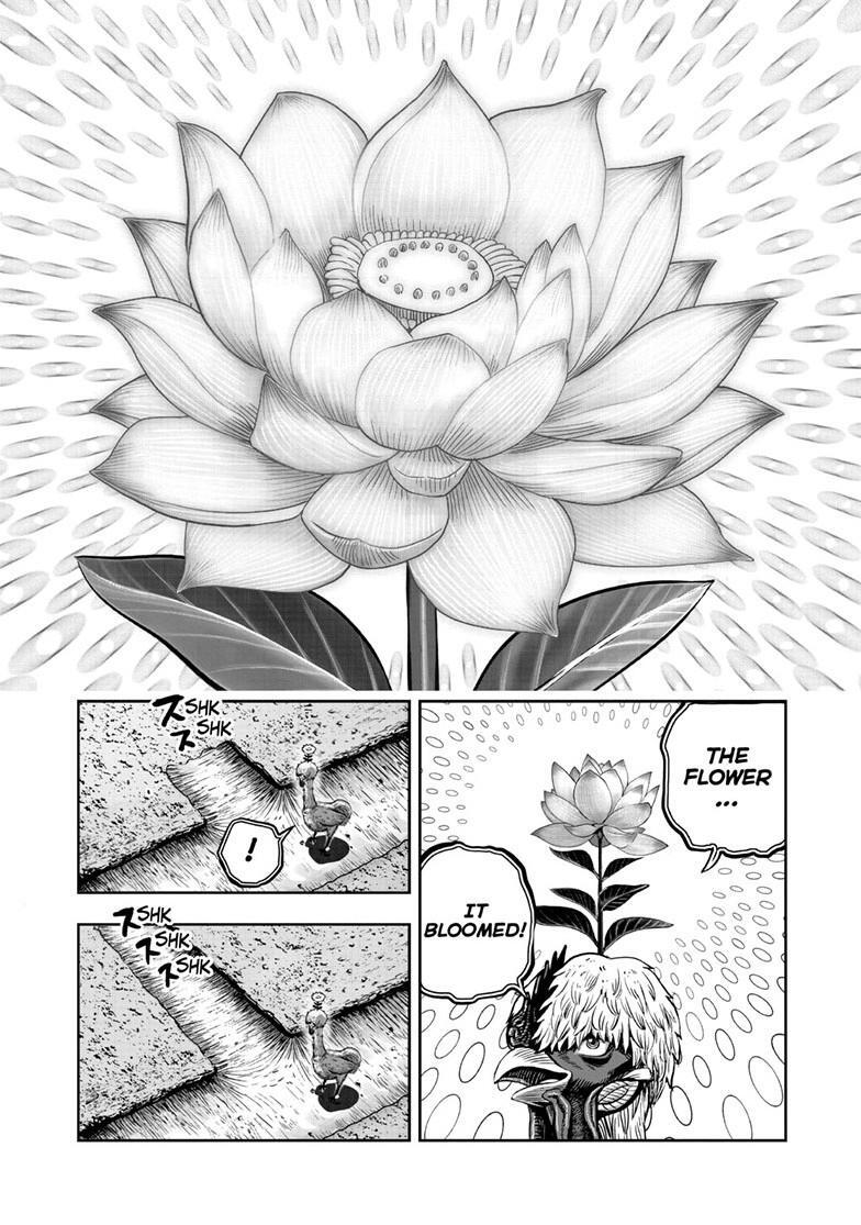 Read Rooster Fighter Manga Online