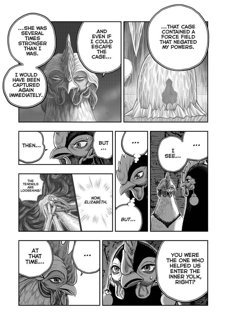 Read Rooster Fighter Manga Online