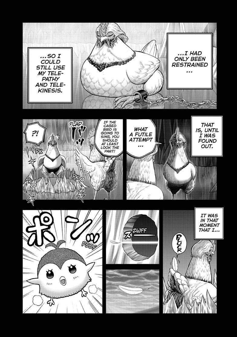 Read Rooster Fighter Manga Online