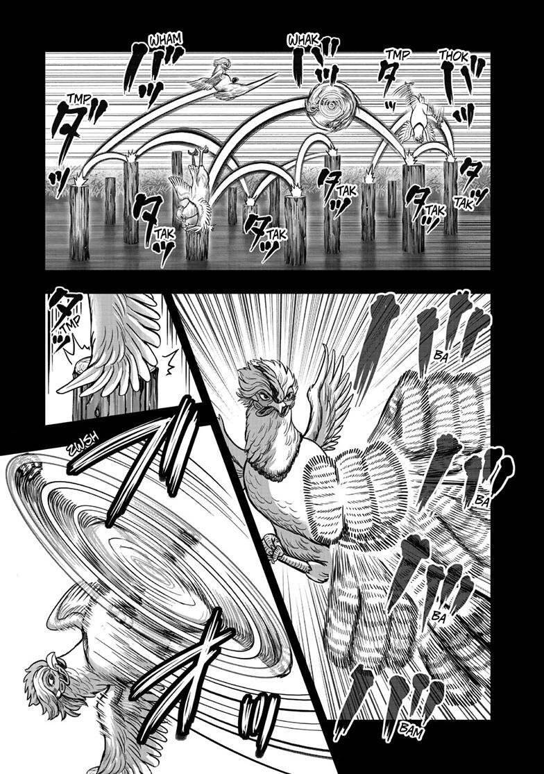 Read Rooster Fighter Manga Online