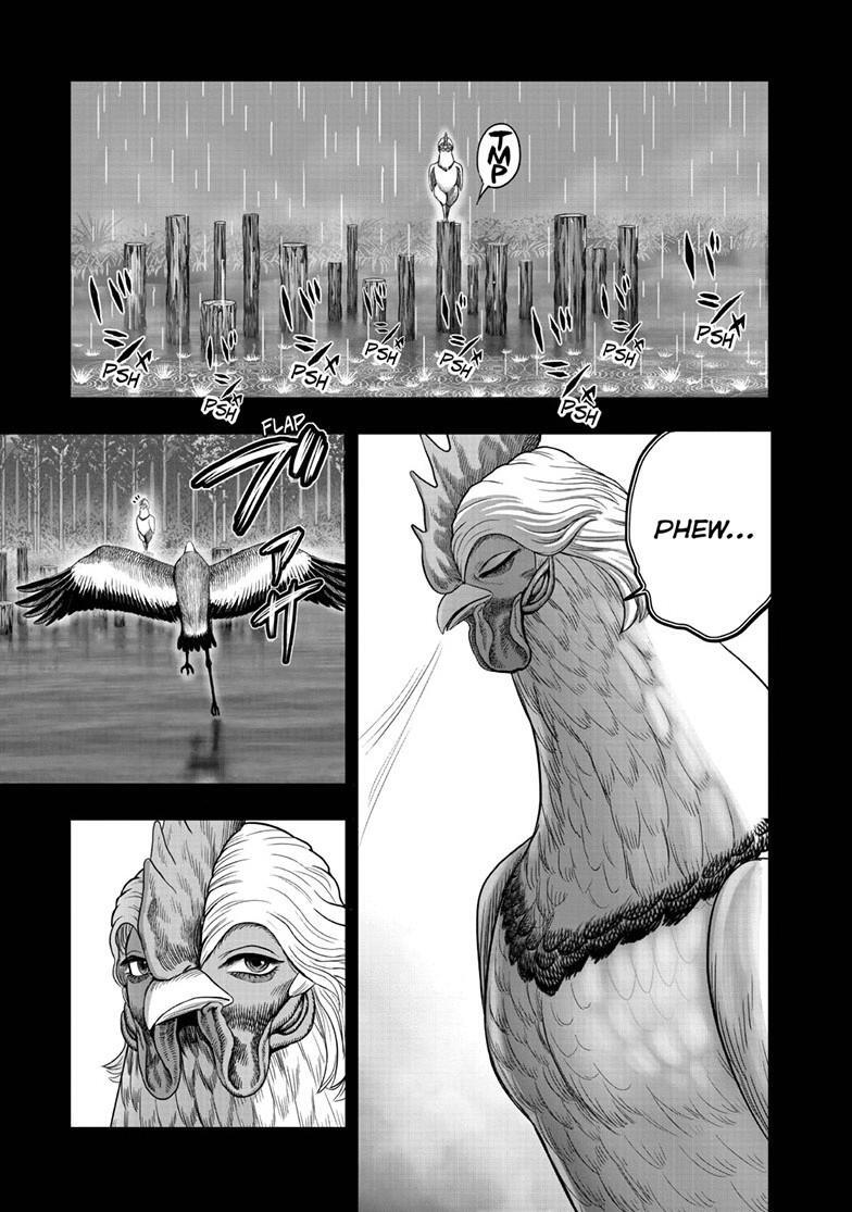 Read Rooster Fighter Manga Online