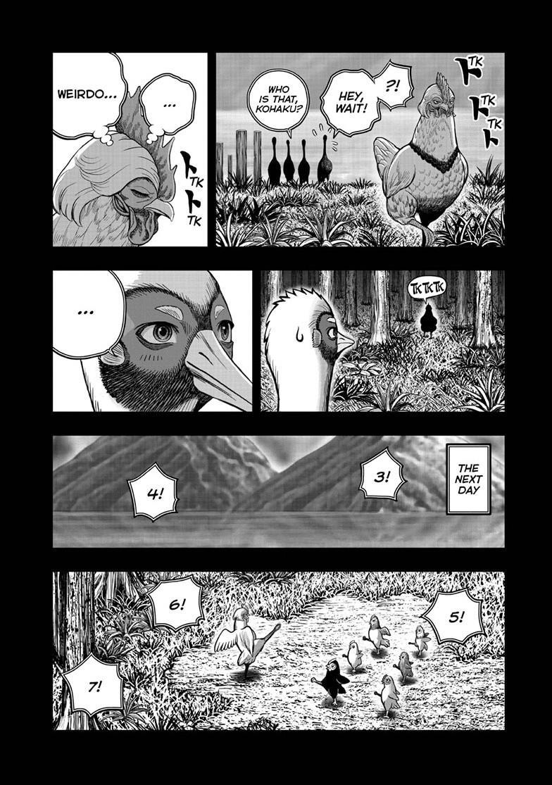 Read Rooster Fighter Manga Online