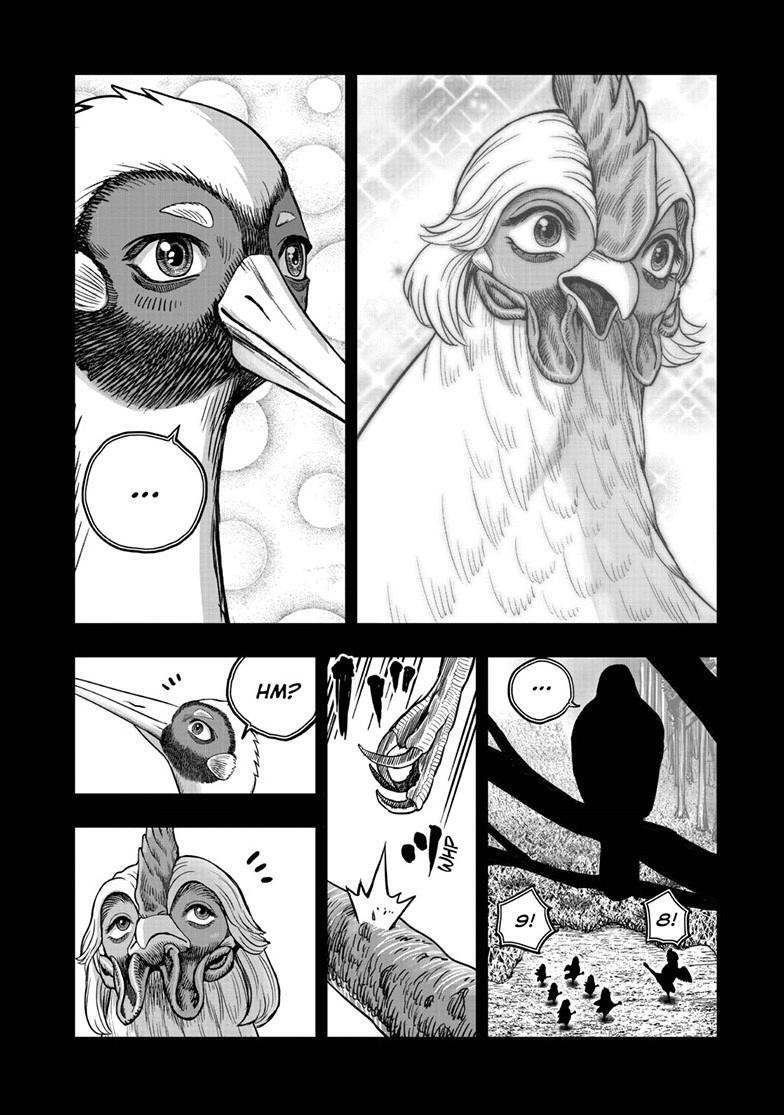 Read Rooster Fighter Manga Online