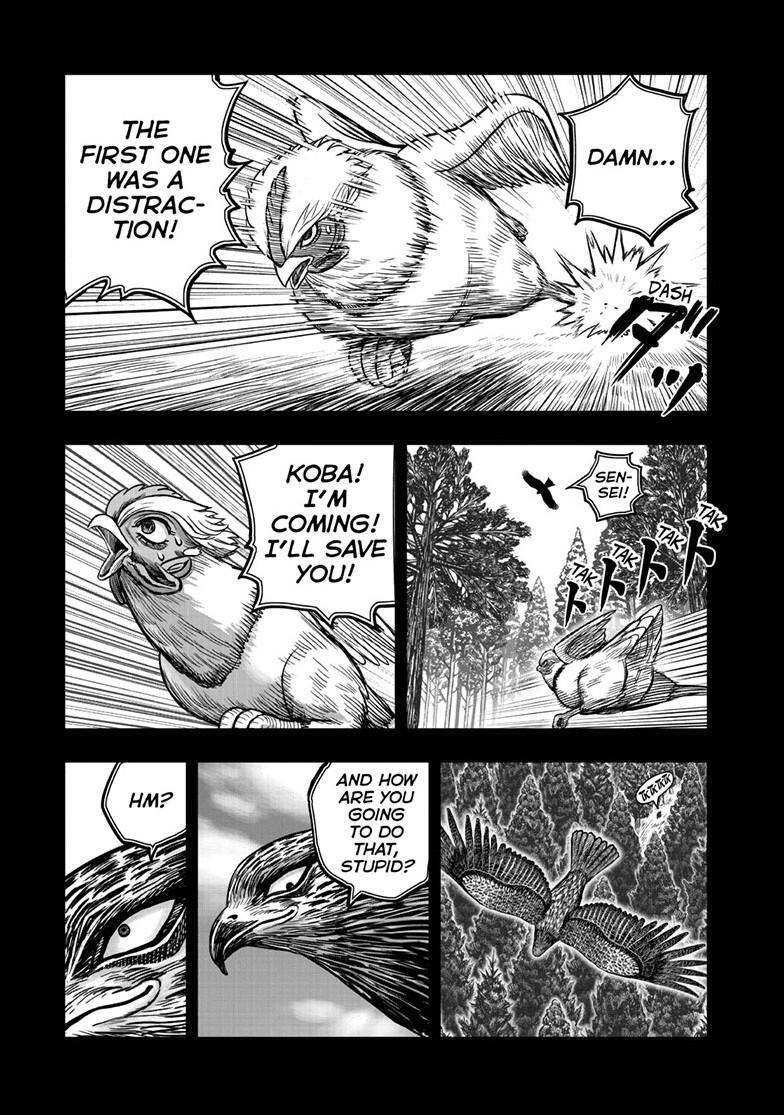 Read Rooster Fighter Manga Online