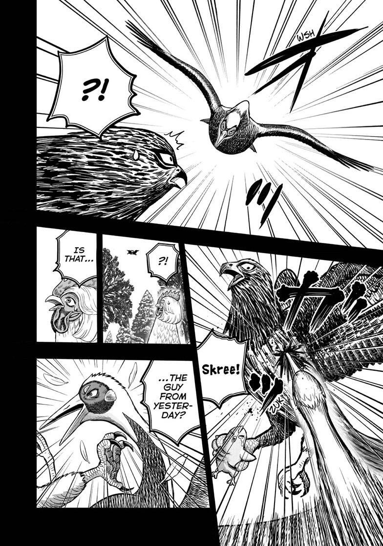 Read Rooster Fighter Manga Online