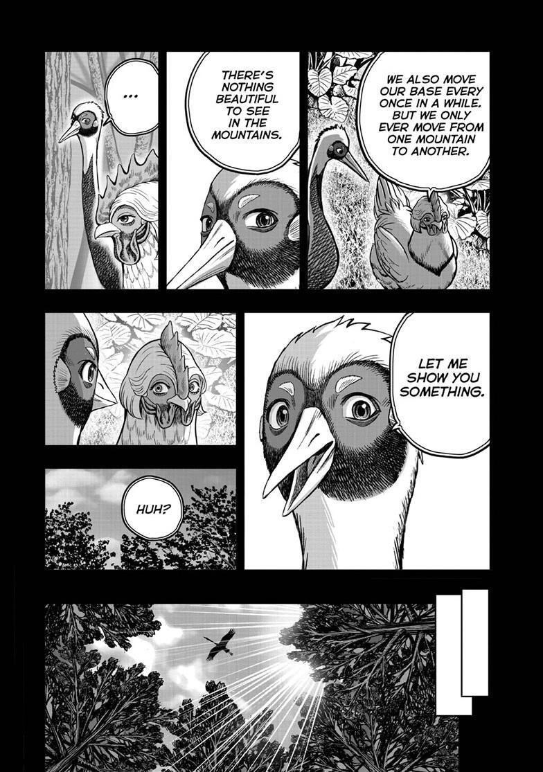 Read Rooster Fighter Manga Online