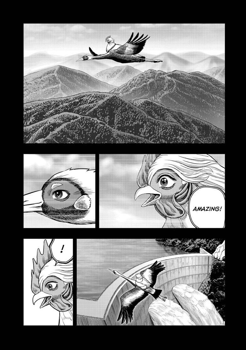 Read Rooster Fighter Manga Online