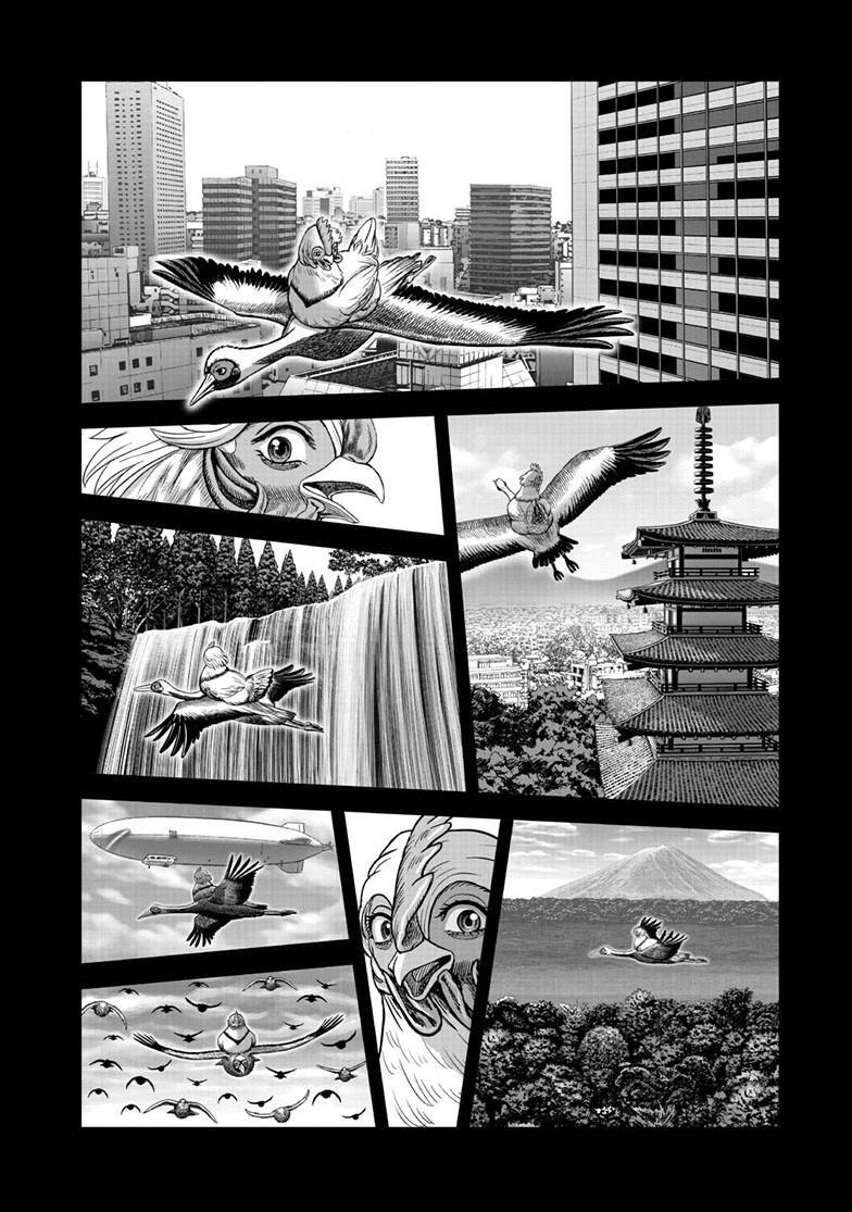 Read Rooster Fighter Manga Online