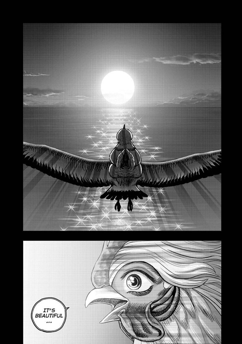 Read Rooster Fighter Manga Online