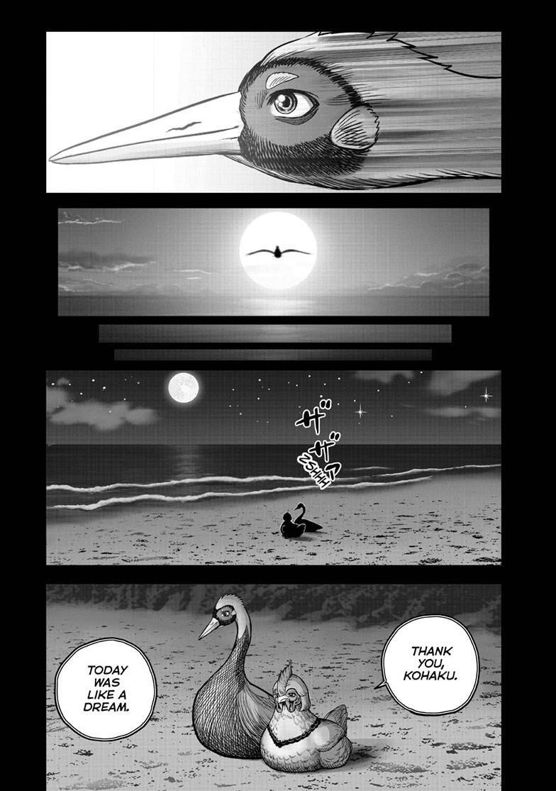 Read Rooster Fighter Manga Online