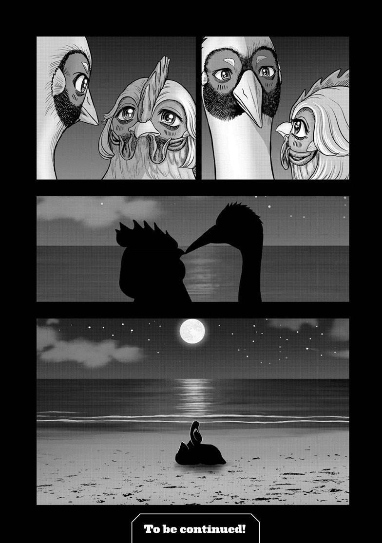Read Rooster Fighter Manga Online